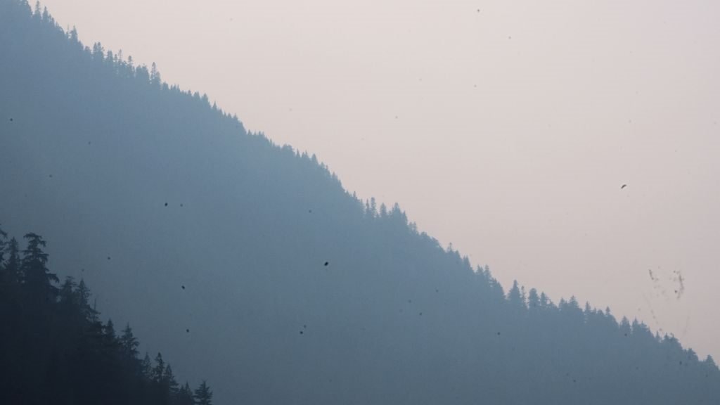 Netravati vs Kudremukh