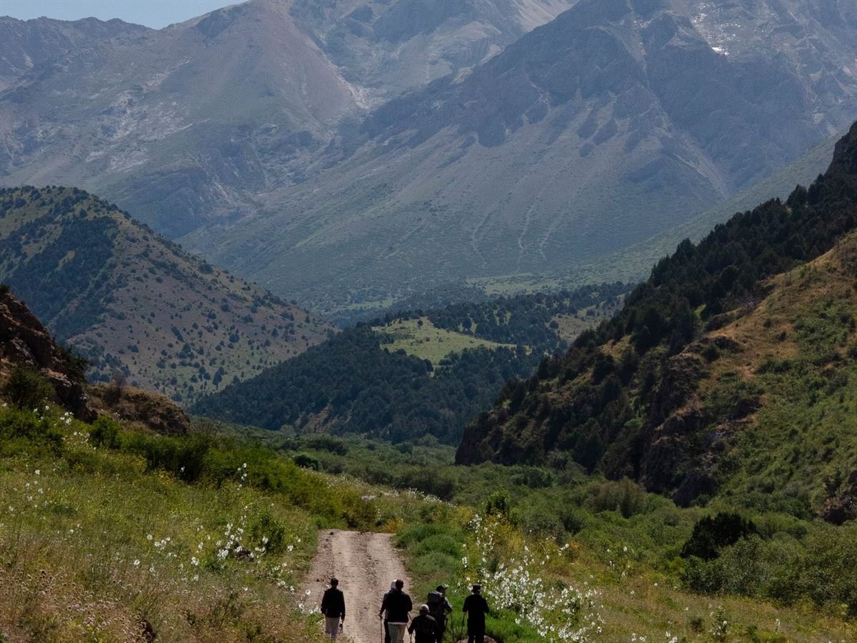 Trekkers on the path